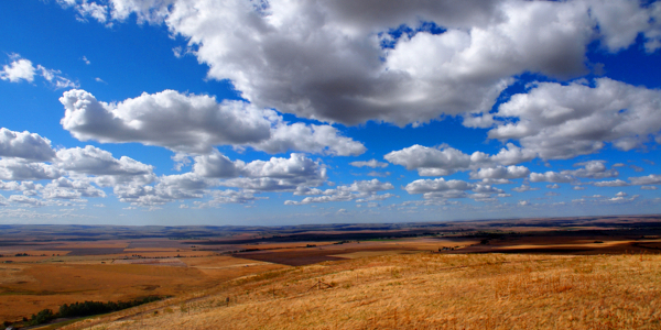 [Two photos stitched together showing a large, open expanse of tan vegetation on the ground and lots of puffy white clouds in a huge sky.]